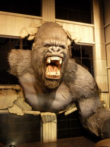 king-kong-472134_1920