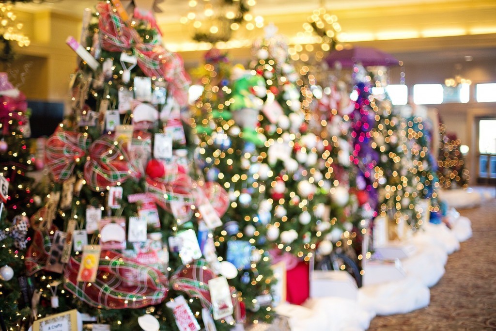 Orlando Car Service: Mickey’s Very Merry Christmas Party