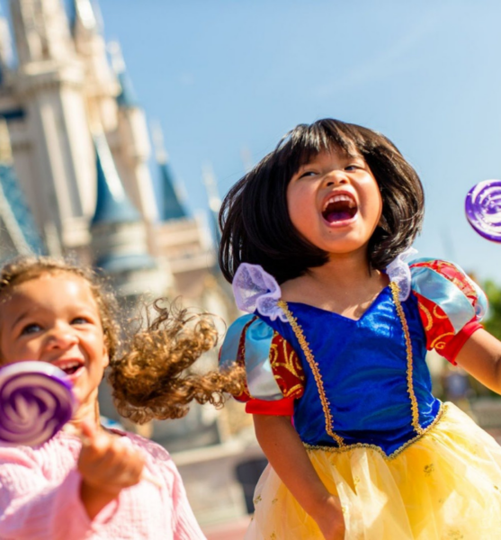 Premier Car Service For Orlando’s Theme Parks